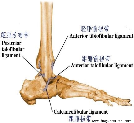 ���ǿ���ҽ������