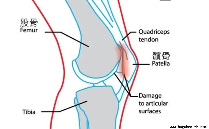 ���ǿ���ҽ������