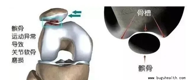 ���ǿ���ҽ������