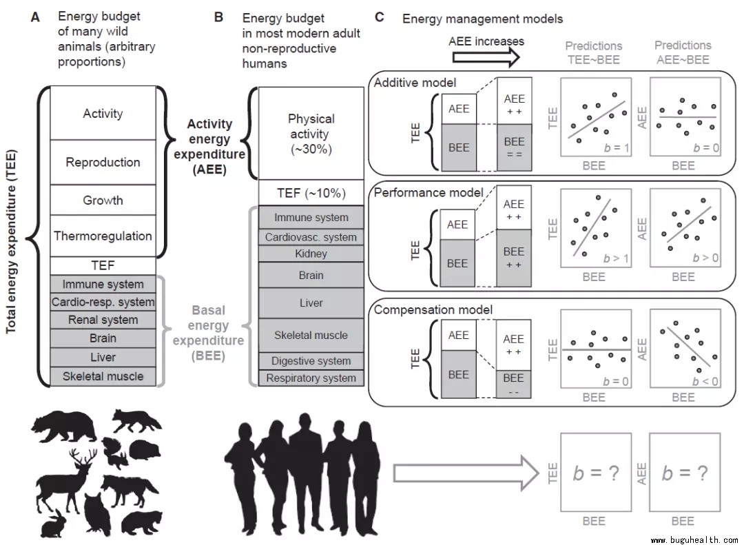 ���ǿ���ҽ������