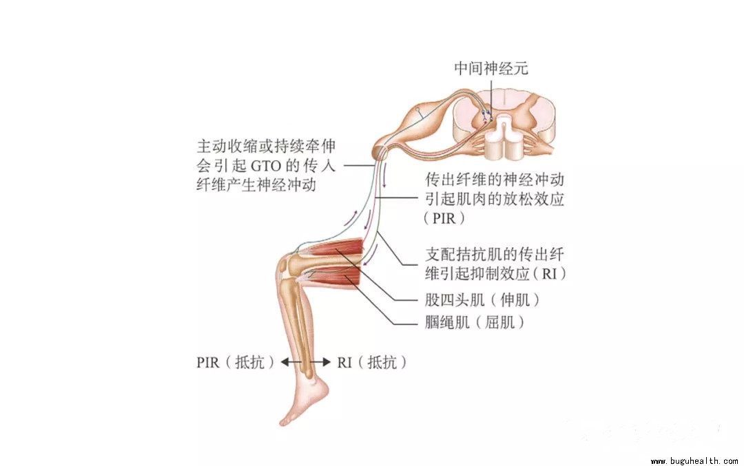 ���ǿ���ҽ������