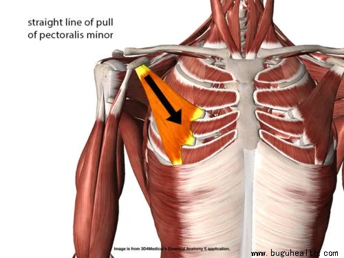 ���ǿ���ҽ������