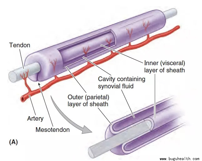 ���ǿ���ҽ������