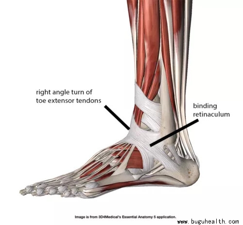 ���ǿ���ҽ������