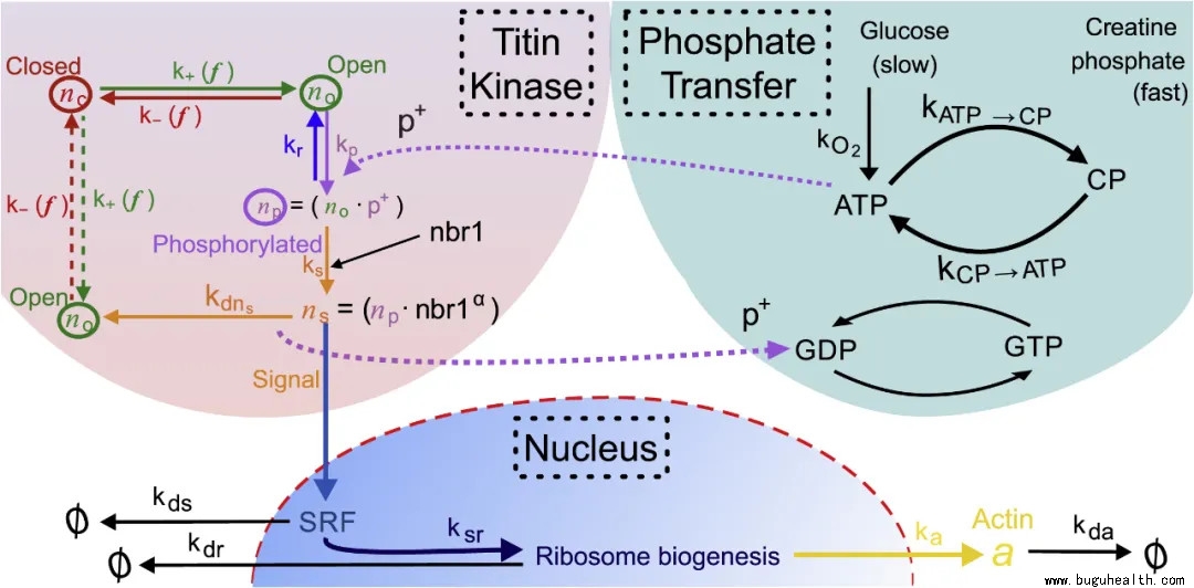 ���ǿ���ҽ������