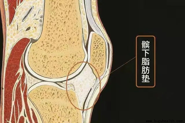 ���ǿ���ҽ������