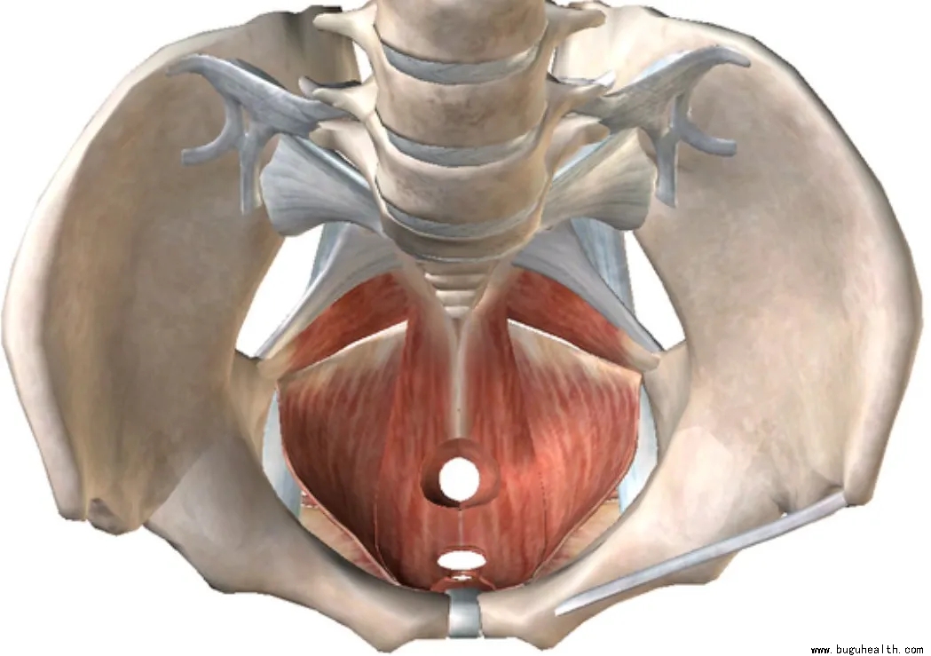 ���ǿ���ҽ������