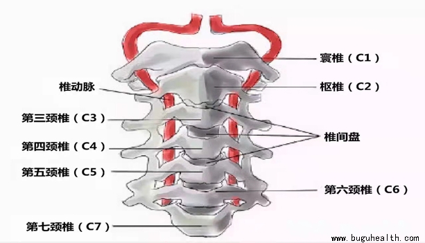 ���ǿ���ҽ������