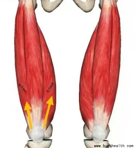 ���ǿ���ҽ������