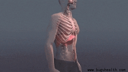 ���ǿ���ҽ������