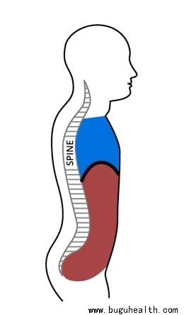 ���ǿ���ҽ������