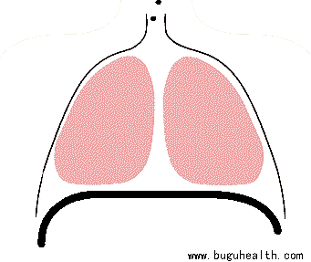 ���ǿ���ҽ������