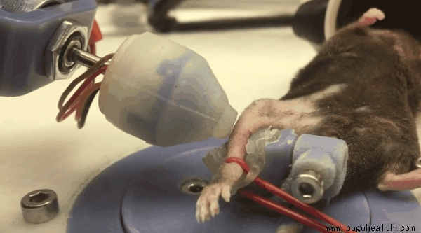 ���ǿ���ҽ������