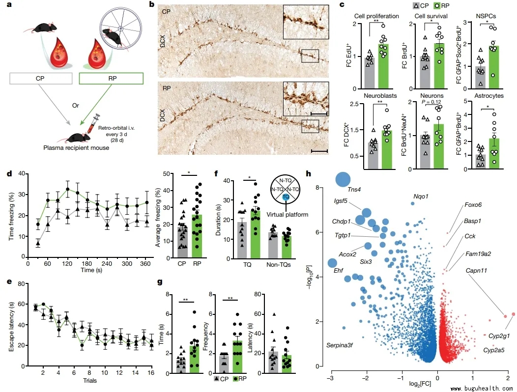 ���ǿ���ҽ������