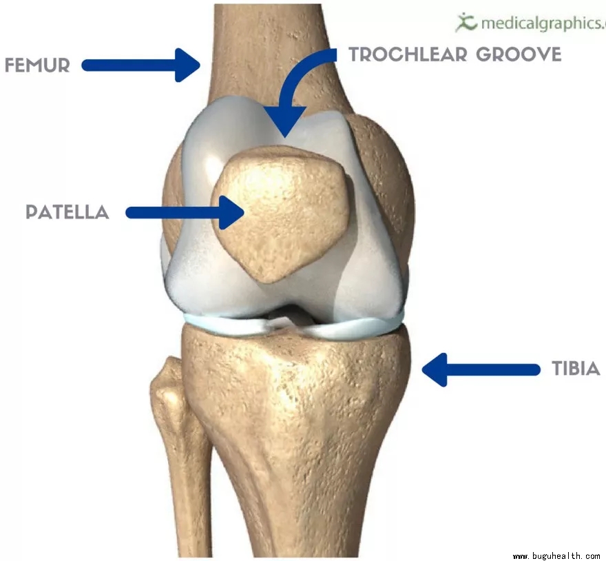 ���ǿ���ҽ������