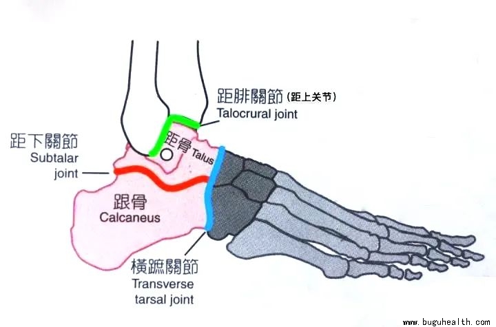 ���ǿ���ҽ������