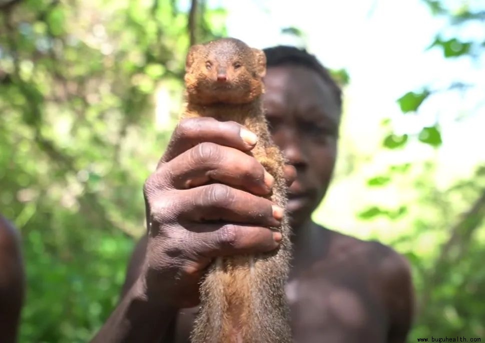 ���ǿ���ҽ������