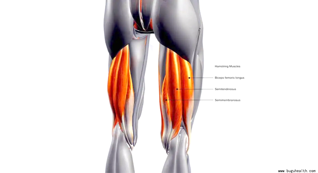 ���ǿ���ҽ������