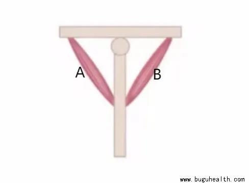 ���ǿ���ҽ������