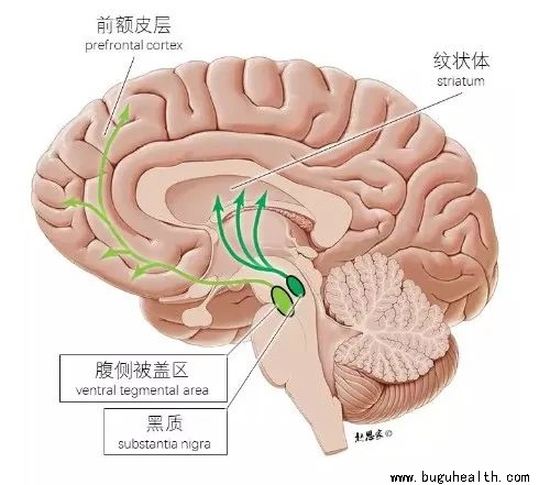 ���ǿ���ҽ������