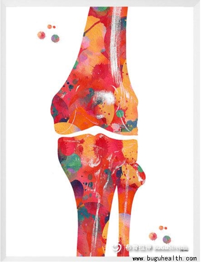 ��������BuGuStretch