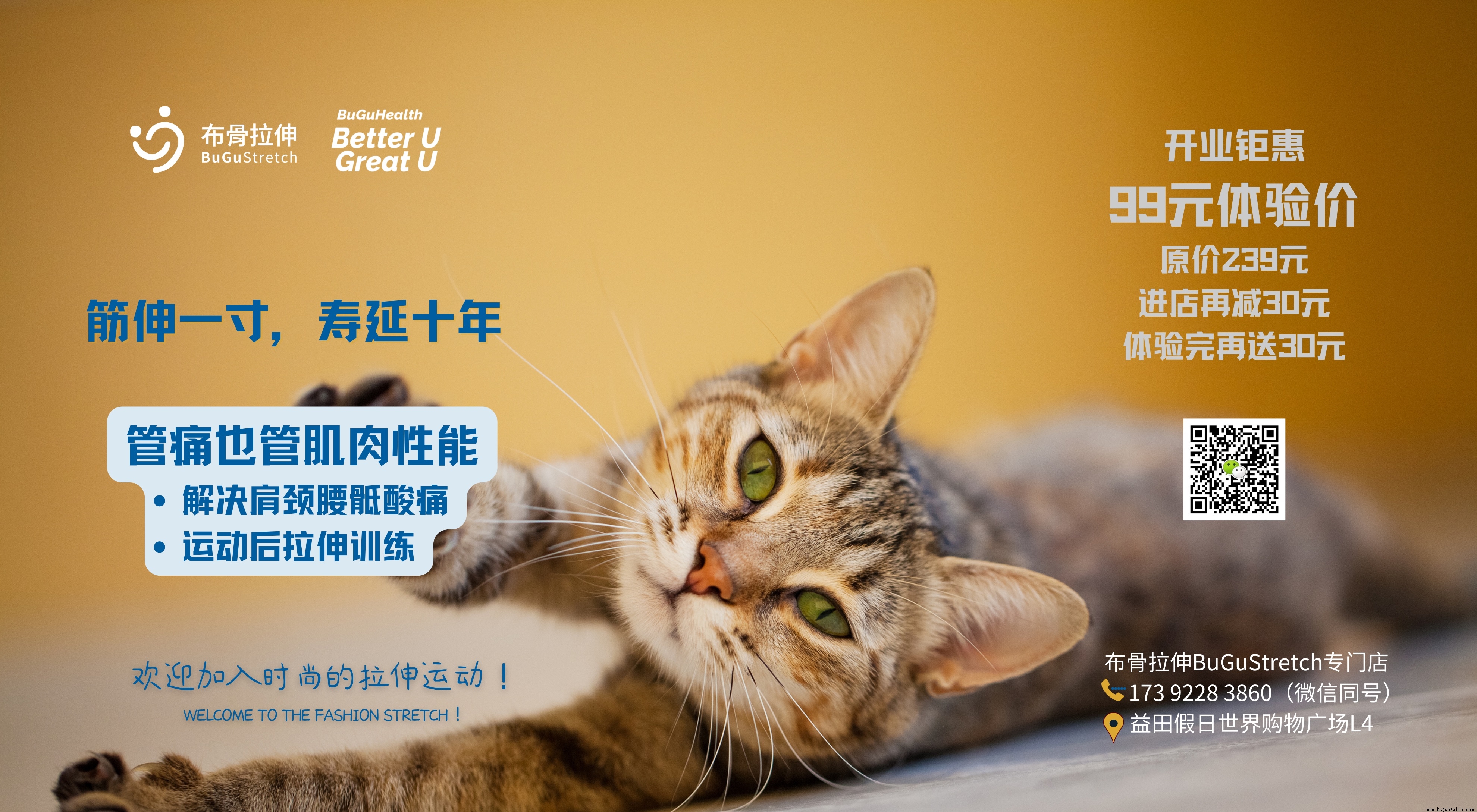 ��������BuGuStretch