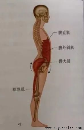 ����,�˶�����,��ʹ