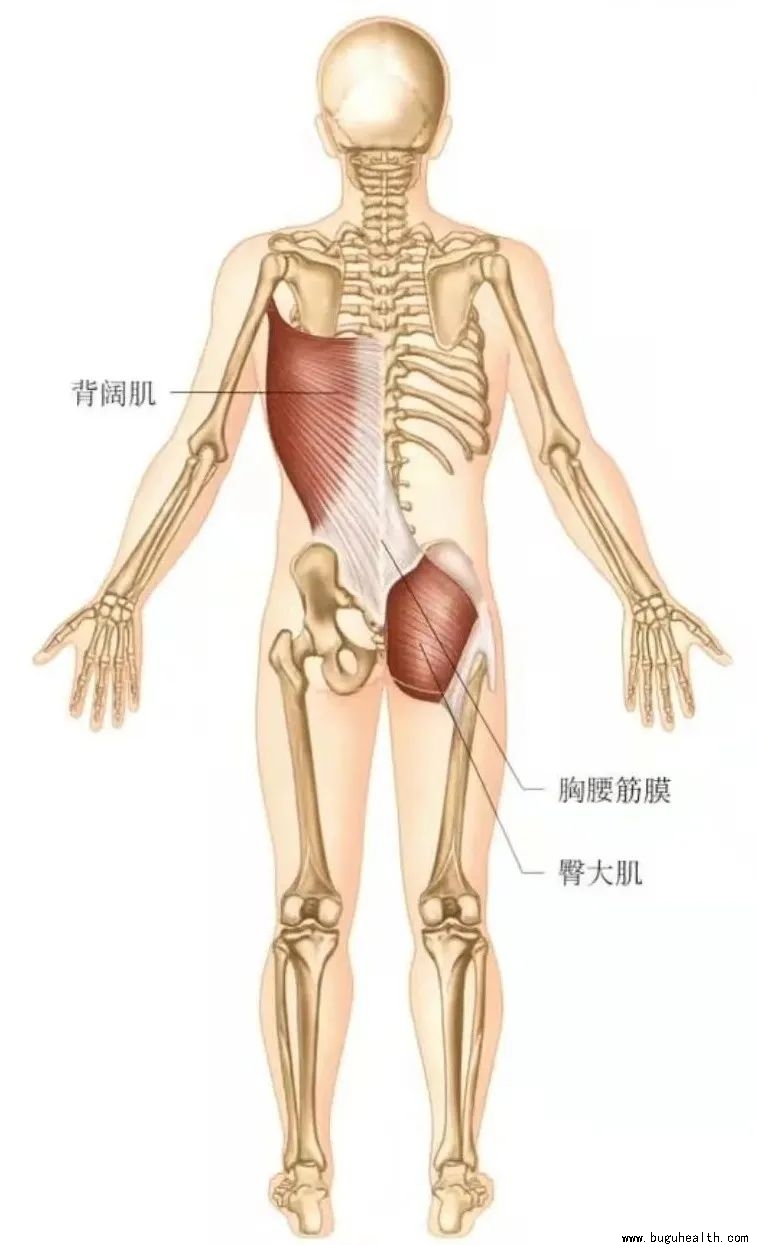 ����,�˶�����,��ʹ