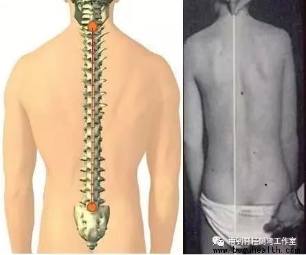 ����,��������,�����������