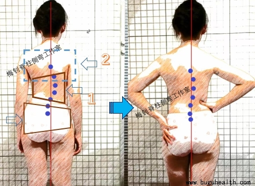 ����,��������,�����������