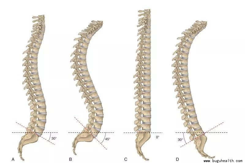 ����,������������