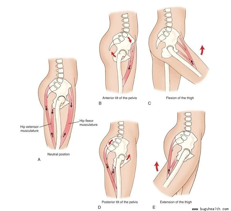 ����,��������,�����������