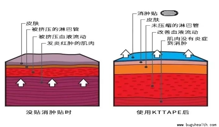 �˶�����,���ǿ���,