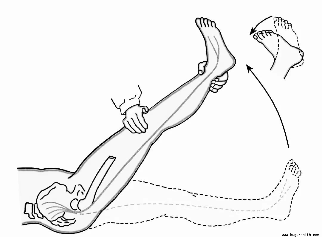 ����,ֱ��̧������