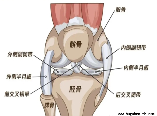 �ƹɹؽ���ʹ�ۺ���,�ƹ�����֢,ϥǰʹ,����