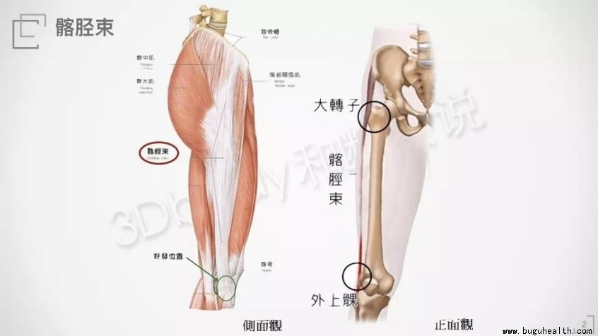 �ŵ���,����