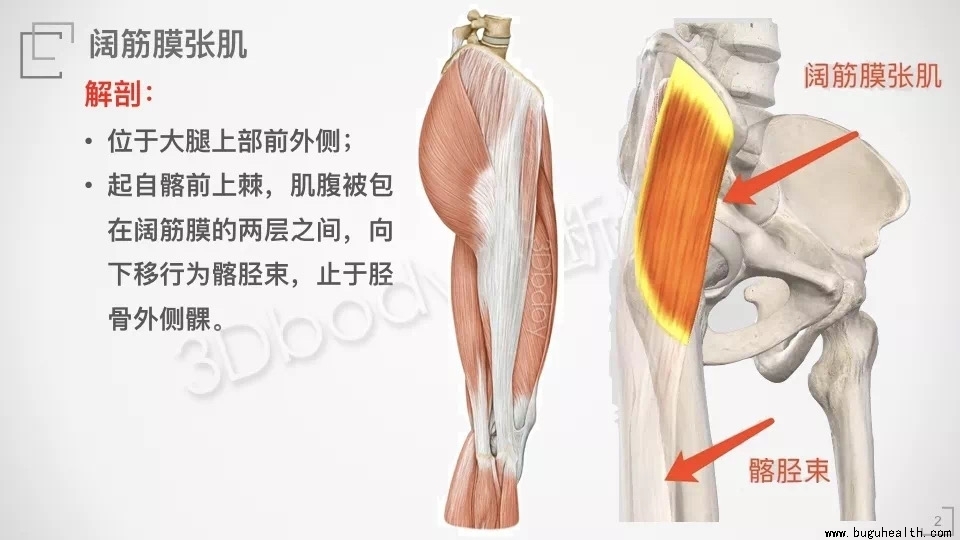 �ŵ���,����