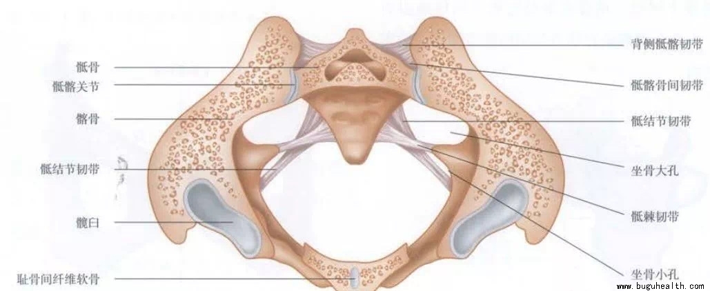 �ŵ���,����