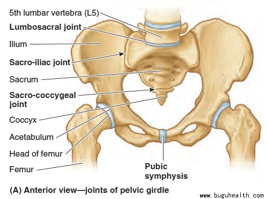 ���ǣ����Ĺؽ�ʹ