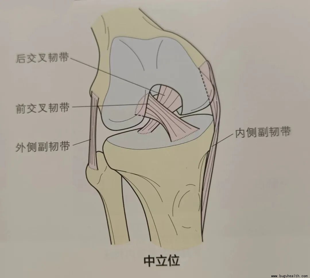 ���ǣ�ϥ����ʹ��ϥ���ڲ���ʹ��ϥ�������ʹ