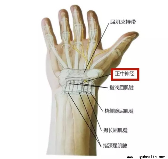 ���ǣ���׵��ʹ,����,����ʹ