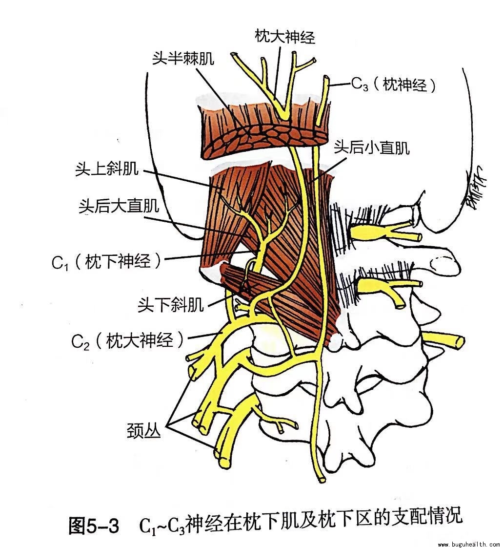 ���ǣ���׵������׵����