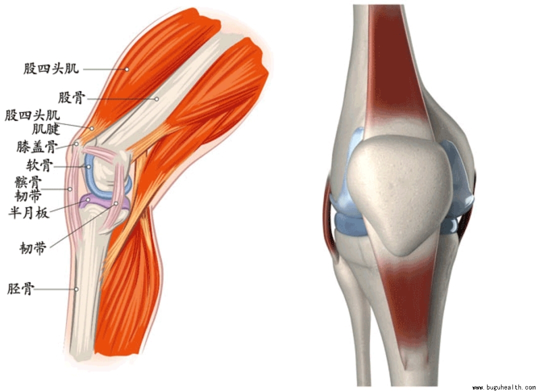 ���ǣ������ף���Ծ��ϥ