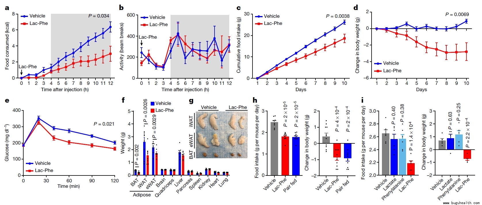 ���ǣ��˶���Ԥ������