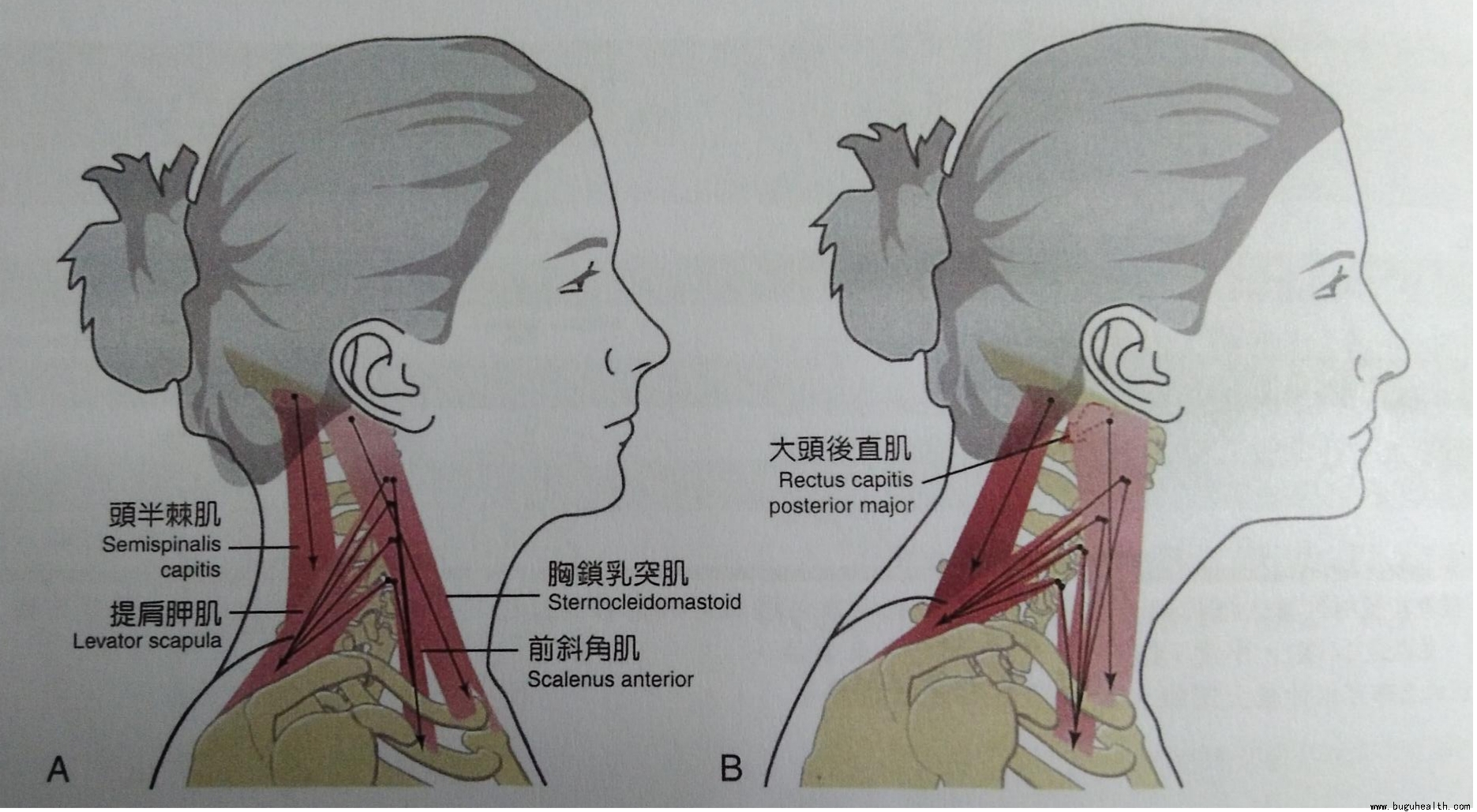 ���ǣ����Ծ�ʹ