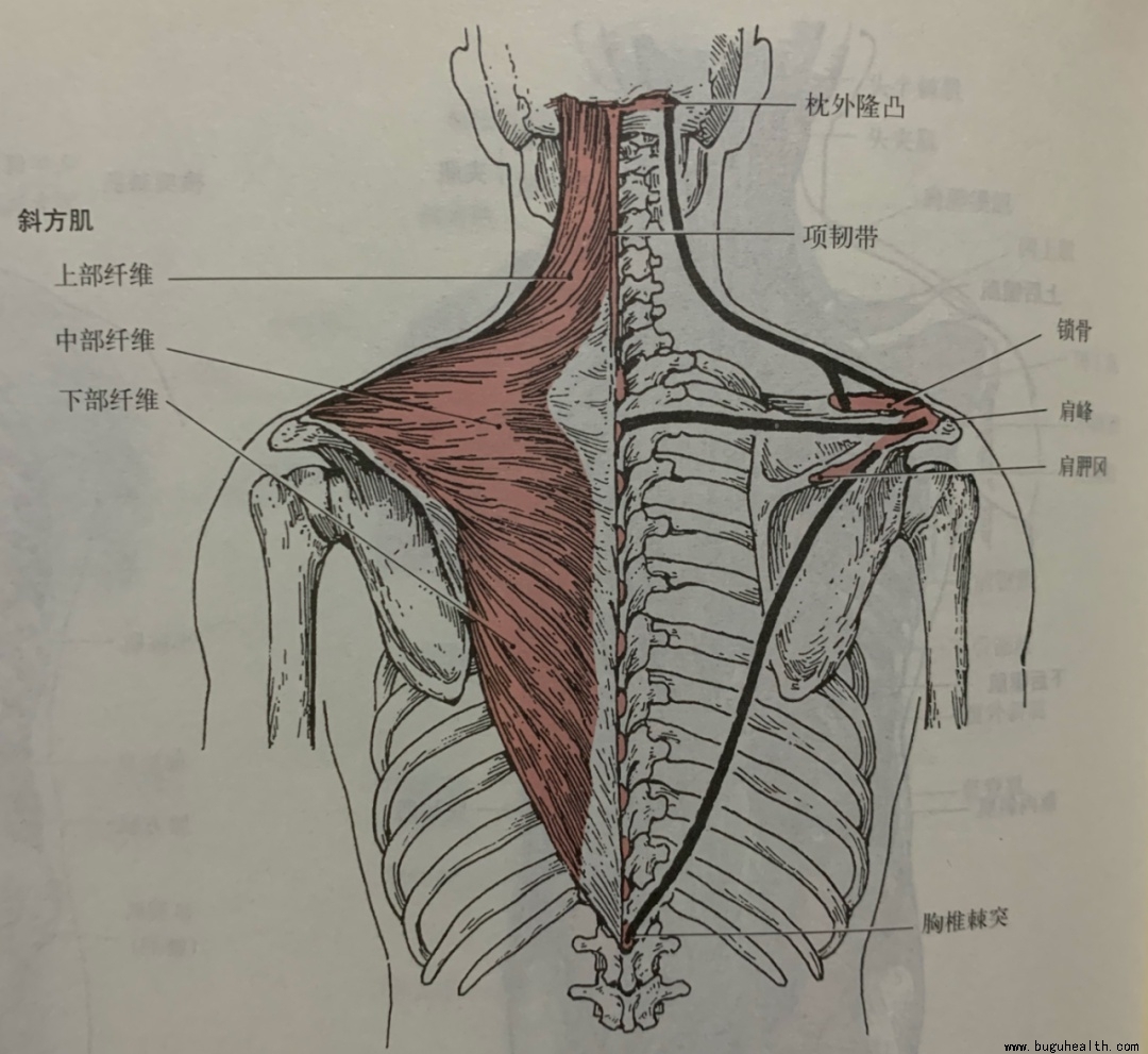 ���ǣ����Ծ�ʹ