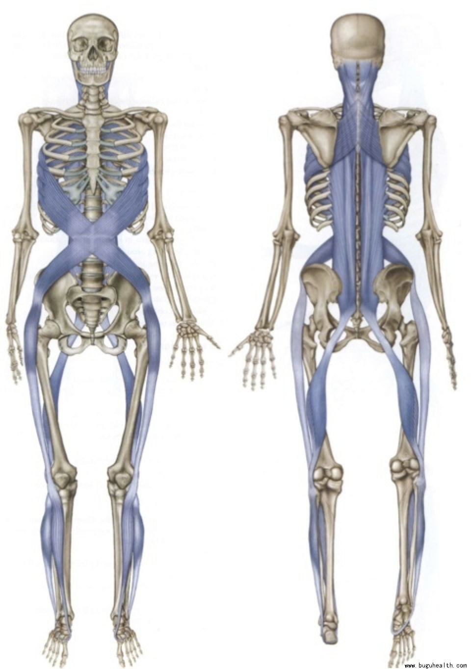 ���ǣ��������ˣ����׿���