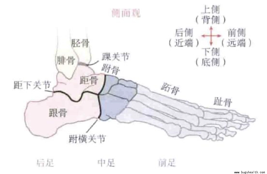 ���ǣ��������ˣ����׿���