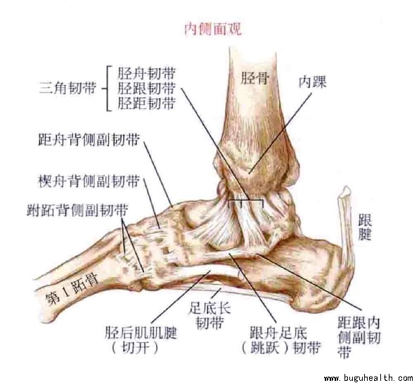 ���ǣ��������ˣ����׿���