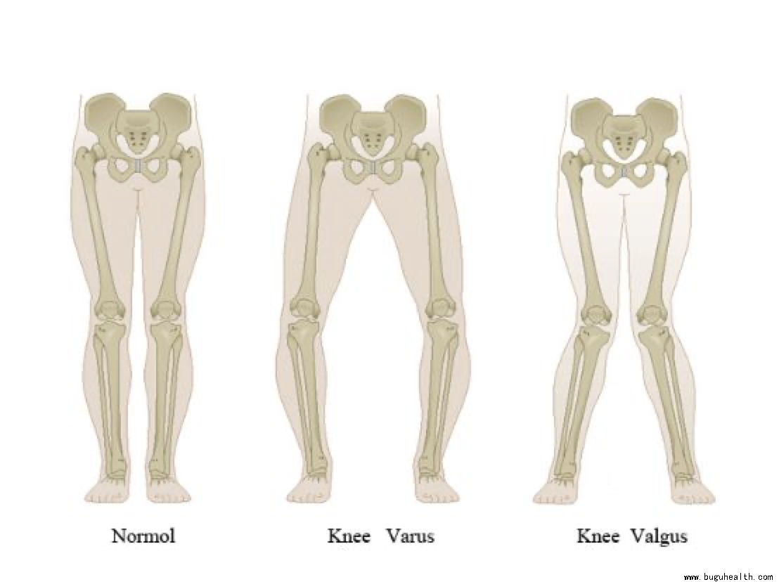 ���ǣ��������ˣ����׿���